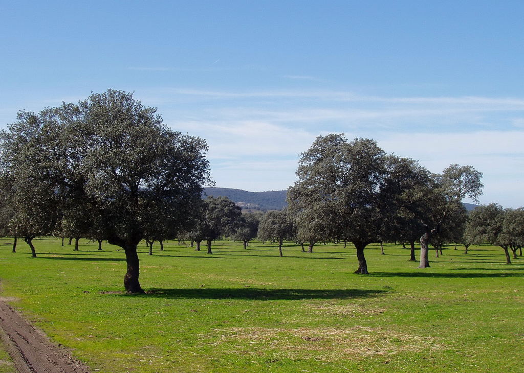 Entorno de Balneario Fuentes del Trampal